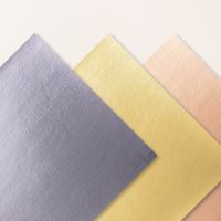 spécialité 30.5cm métal texturé