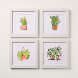 Kit belles plantes d'intérieur