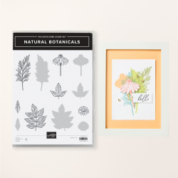 tampons natural botanicals
