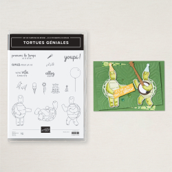 tampons tortues géniales
