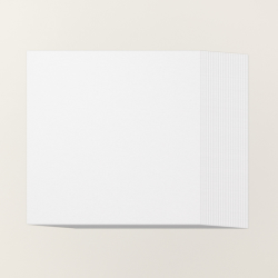 30,5cm saule blanc