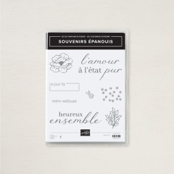 tampons souvenirs épanouis