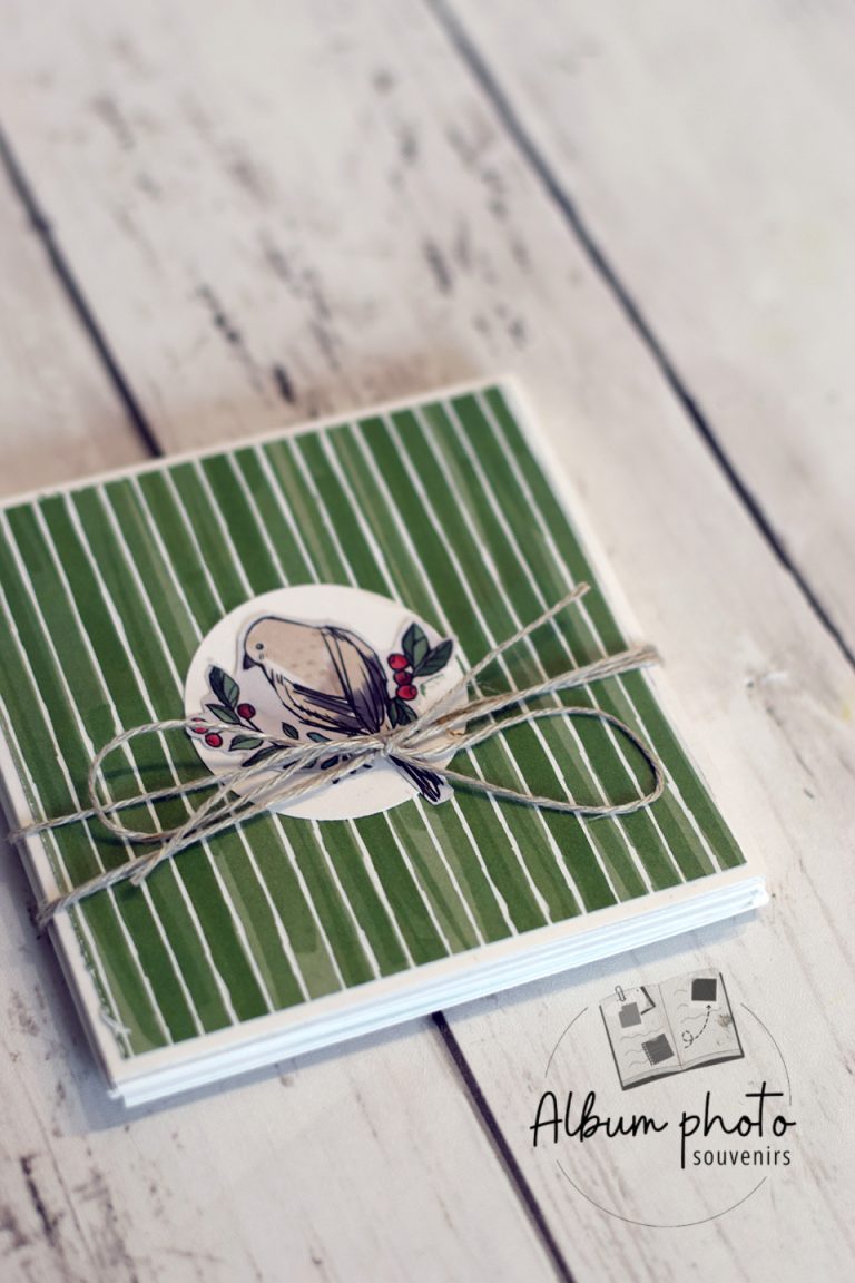 Mini-album-systeme-de-pli-popup-avec-des-papiers-oiseaux-hivernaux-2