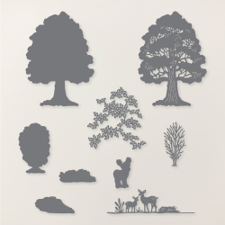 POINÇONS ARBRES À L’AUTOMNE