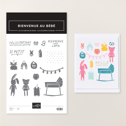 tampons bienvenue au bébé (français)