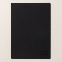 PLAQUE DIMPRESSIONS