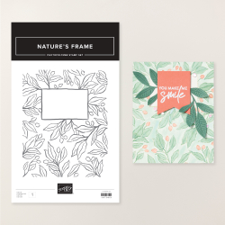 TAMPONS NATURE'S FRAME