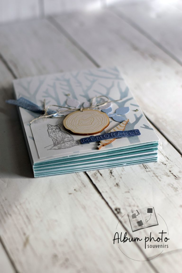Album photo enveloppe 12 mois de bébé bleu nature fait main, avec disque de bois gravé et embellissements