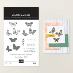 Tampons voltige amicale