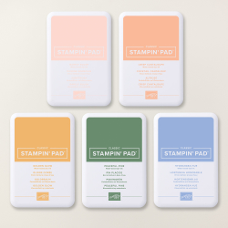 Tampons encreurs classic in color™ 2026-2028