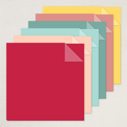 Papier cartonné à deux tons vie extraordinaire