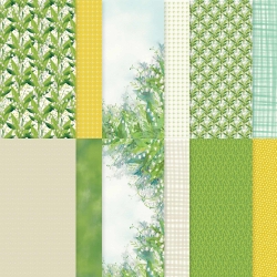 Papier vallée épanouie