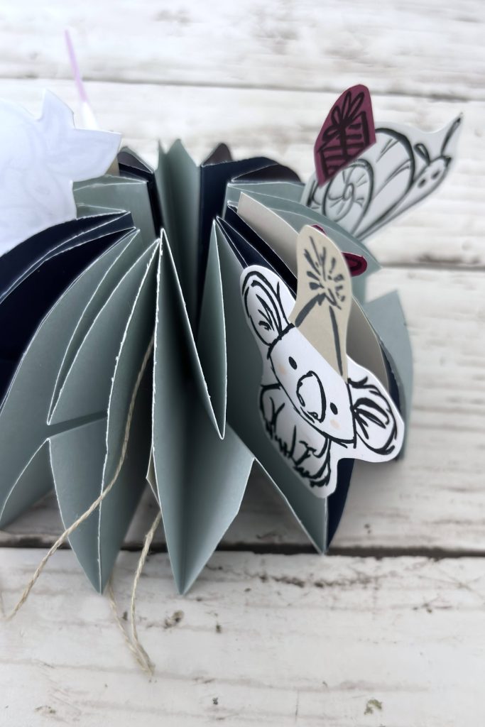 Album en cercle gris motif koala vue de face