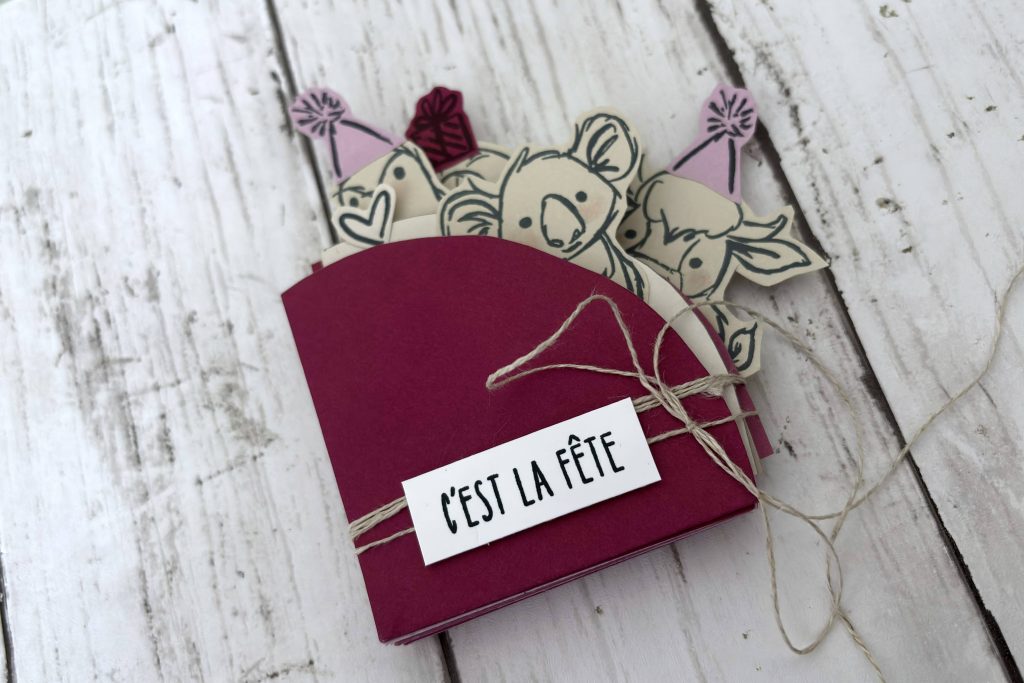 Mini-album cercle rose koalas c'est la fête